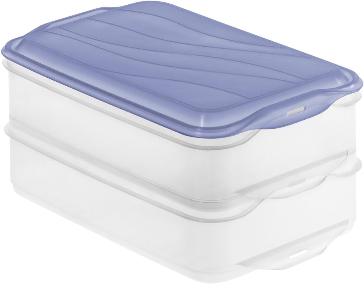 Rotho Rondo Fridge Container, 2 x 1.35 L, Horizon Blue, Food Storage Container