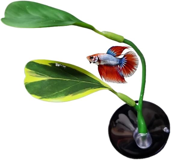 Silicone Betta Fish Bed Leaf Hammock Betta Fish Tank Accessories Decorations for Aquarium Ornaments, No Bpa, Comfortable and Safe