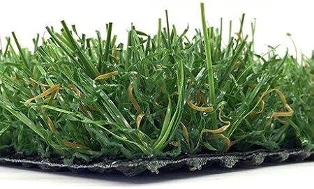 5 Feet X 6 Feet 1.250" Inch Pile Height Synthetic Turf Artificial Fake Grass Indoor Outdoor Mat for Balconies, Landscape, Lawn, Garden, Dogs and Pet Potty Areas Acrylic Backing for Max Drainage