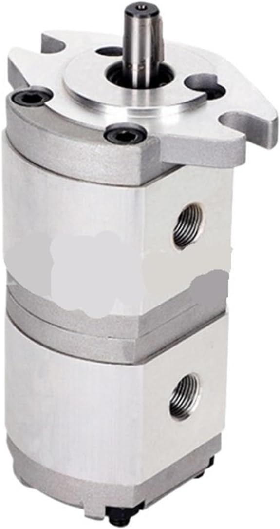 Four-hole Installation Double Gear Pump Hydraulic Oil Pump High Pressure Gear PumpF5-0.8R