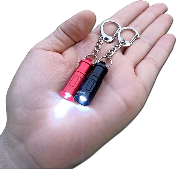 e1 Smallest Keychain Flashlight Micro Tiny Mini Keychain Light Long-Lasting Safety Light for Everyday Carry Emergencies Outdoor Dog Walking Hiking Camping Nice Gift for Parents Kids