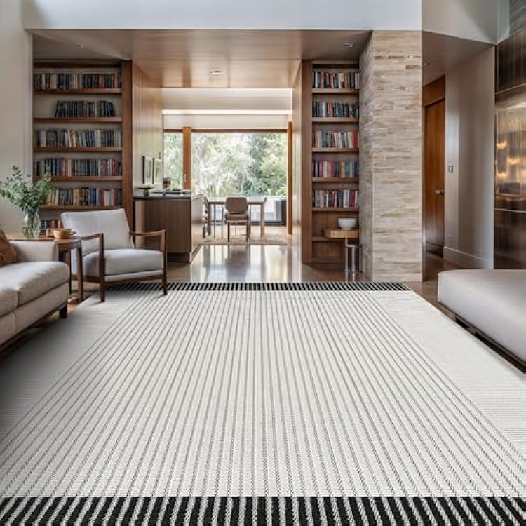 Modern Micro Loop Indoor Area Rugs for Living Room Bedroom Kitchen Geometric Striped Black-White 5x7 Luxury Durable Low and High Pile Non-Shedding Stain Resistant Soft Area Carpet 5 x 7