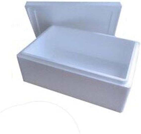 Thermo Insulation Polystyrene Boxes 6/8 kg 400 x 300 x 160mm x 1