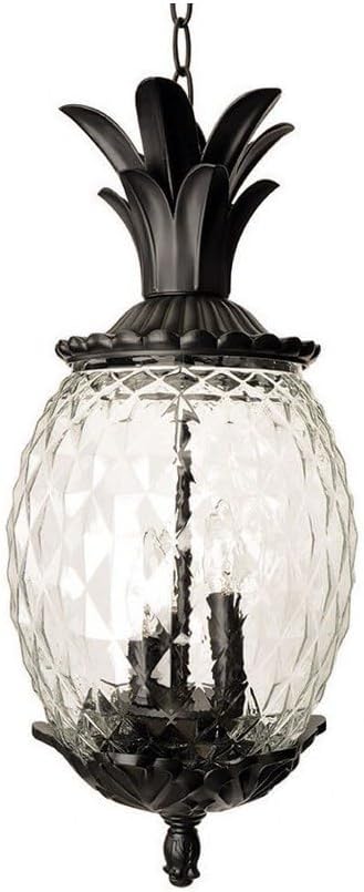 Acclaim 7516BK Lanai Collection 3-Light Outdoor Light Fixture Hanging Lantern, Matte Black by Acclaim
