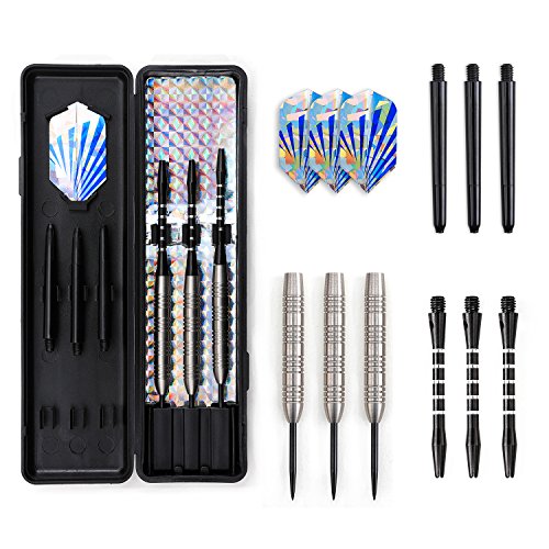 WIN.MAX 24g 80% Tungsten Steel Dart Set: 3 Darts with PET Flights, Nylon Shafts, Portable Storage Box, w 3 Extra Nylon Shafts, Ideal Gift for Christmas, Thanksgiving, Birthday, Etc.
