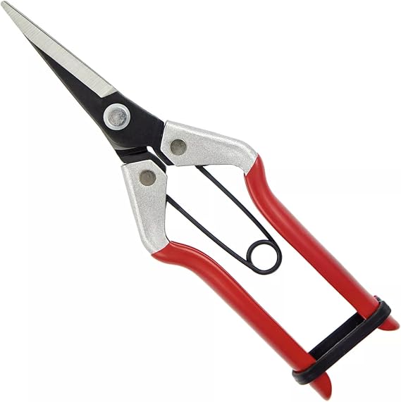 Darlac Vine Scissors, DP926, Multi-Purpose Scissors Robust Fruit Tree Bonsai Garden Hand Tool Tree Cutter Vine Shears