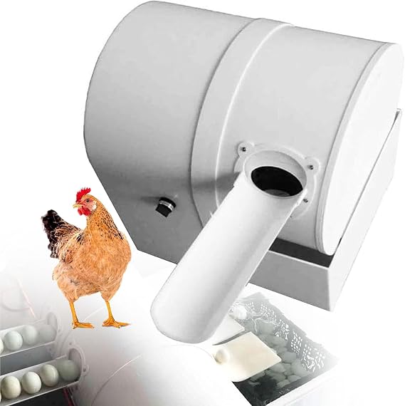 Electric Egg Washing Machine, Egg Washer Machine, Automatic Egg Washer Machine, 2300 Pcs/H Chicken Duck Goose Egg Egg Cleaner Wash Machine