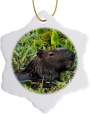 3 inch Snowflake Porcelain Ornament - Capybara, Northern Pantanal, Mato Grosso, Brazil Rodents