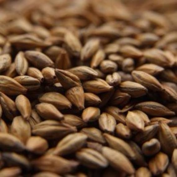 Crisp Amber Malt 10 lb