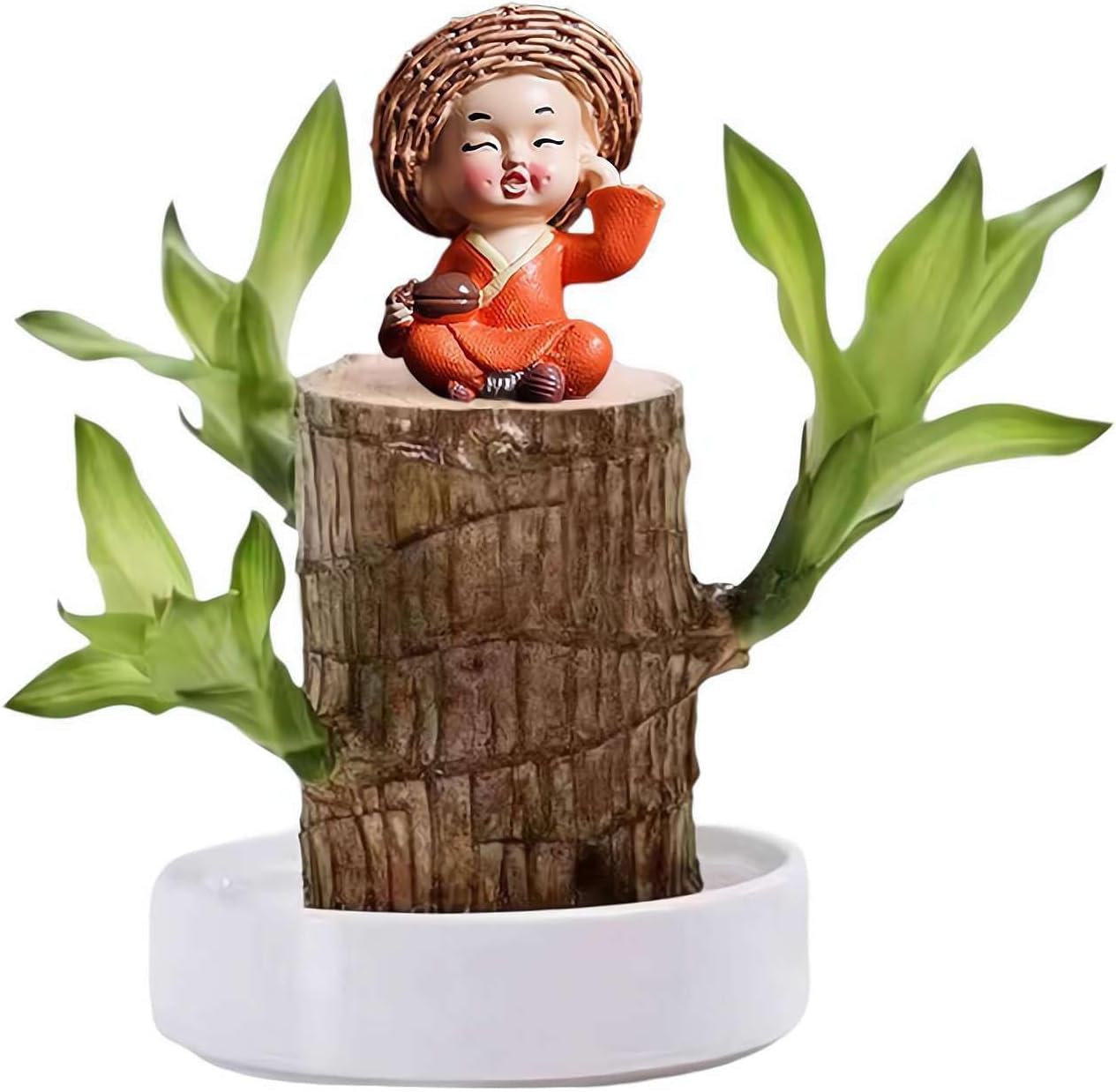 Brazil Lucky Wood Plant Set Small Mini Lucky Wood Brazil Wooden Plant Desktop Ornaments Plant Brazilian Wood Plant Stump Hydroponic Plant Stump Terrarium (B)