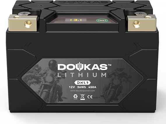 DKL9 450A LiFePO4 Motorcycle Lithium Battery, 12V 3Ah Powersports Batteries, Compatible Jet Ski,Lawn Mower, ATV, Scooter, Generator Battery, Snowmobile