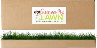 DoggieLawn Guinea Pig Fresh Grass Lounging Mat - Real Living Grass for Small Pets - Natural Enrichment for Guinea Pigs, Hamsters, Small Animals - IndoorOutdoor Disposable Grande 24x9 Inch