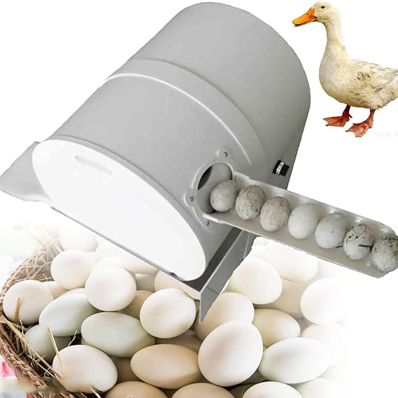120W Egg Washer Machine Automatic Egg Cleaning Machine, 2300 Pcs/H Chicken Duck Goose Egg Cleaner Wash Machine, Egg Washer Machine