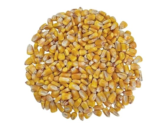 Yellow Corn (Maiz Amarillo) 5LB, Dried Whole Kernels