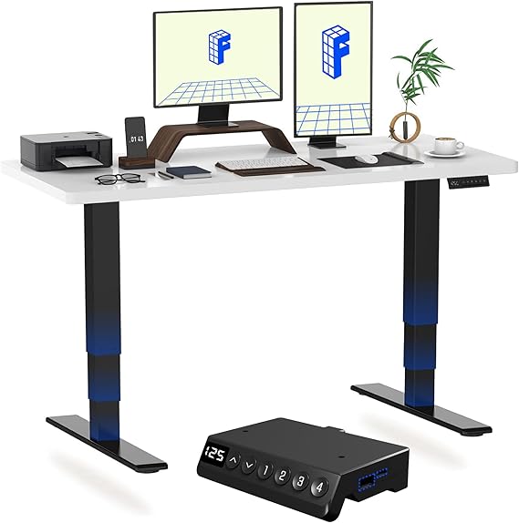 FLEXISPOT E5 Electric Standing Desk 2 Motors 3 Stage 120 * 60CM One Piece Desktop Height Adjustable Desk with Memory Smart Panel, Anti-collision System, Black+White