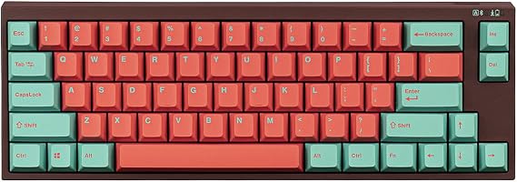 Leopold x MK FC660MBT Vapor 65% Double Shot PBT Wireless/Bluetooth Mechanical Keyboard (Cherry MX Black)