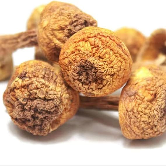 Dried Agaricus Blazei,Agaricus Blazei Murr,himematsutake Mushroom,Agaricus Subrufescens,Agaricus Blazei Murill,ganjisongrong,Almond Mushroom (1000grams)