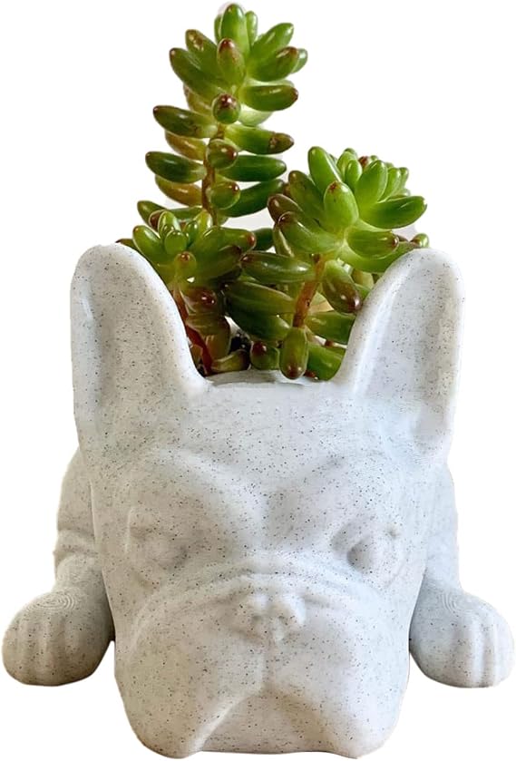 Keebgyy Puppy Pot, Resins Dog Succulent Planter, Mini Puppy Plant Planter, French Bulldog Shape Cute Bonsai Flower Pots for Home Garden Office Desktop Decor, Decoration Resins Succulent Planter(#1)