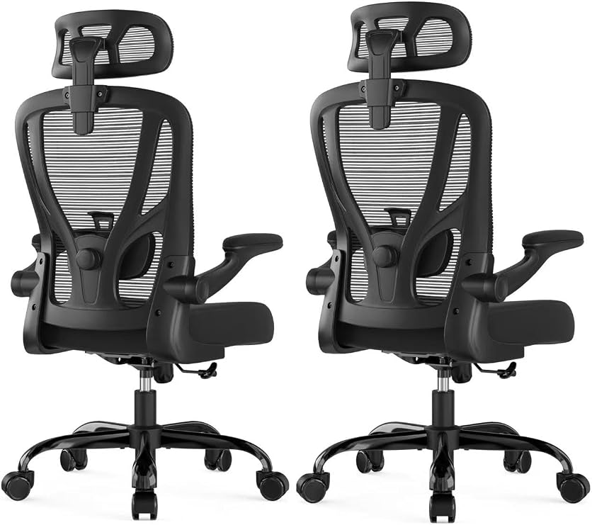 Office Chair Ergonomic Desk Chair with 3D Lumbar Support 2 Pack