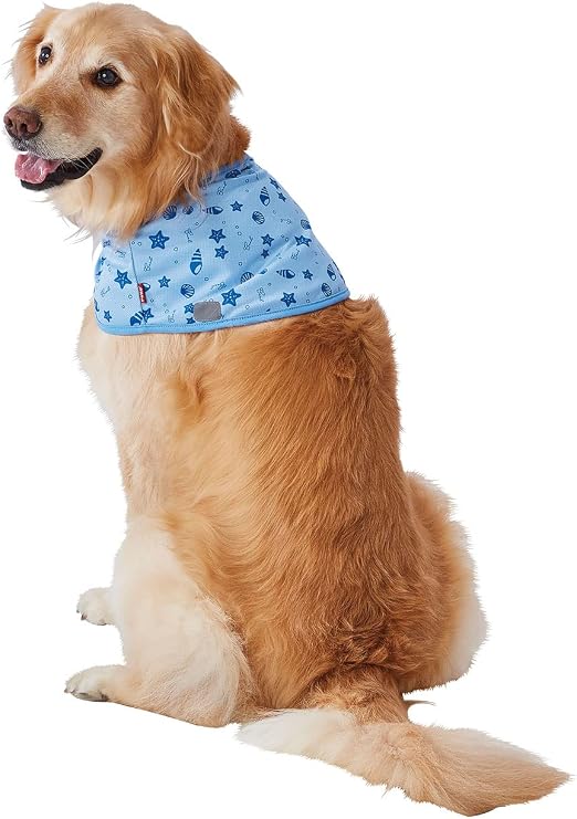 Petio Poncho Multicolor Dog Large