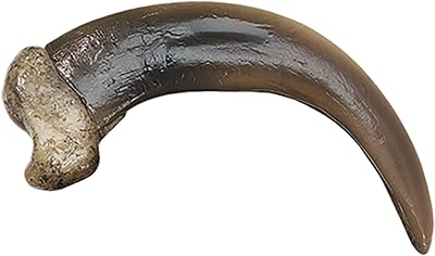 Skulls Unlimited Skulls Unlimited Grizzly Bear Claw, Large 9 cm Museum Quality Replica
