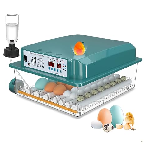 CoInceptus Fully Automatic Incubator Chickens 24-36 Eggs with Automatic Egg Turning and Automatic Water Addition Incubator Chickens with Four Automatic Incubation Modes