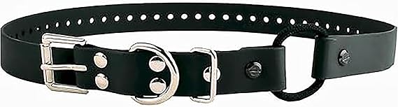 E-Collar Educator 1" Quick Snap Bungee Dog Collar, Black | Waterproof Biothane | 1" Adjustable Collar | Comfort Bungee | Metal Buckle & D-Ring | Black