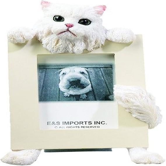 E&S Pets 35316-4 Small Cat Frames