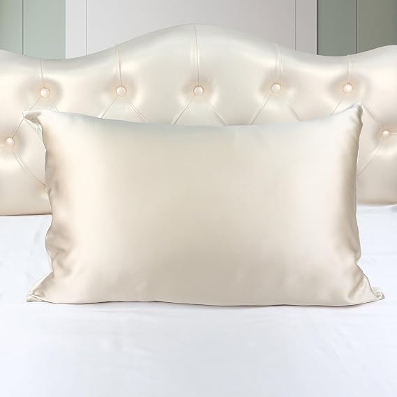 100% Mulberry Silk Pillowcase 19 Momme Silk Pillow Case for Hair and Skin, 20X26'' Pillow Cover with Zipper, 1 Pack(Champagne, Twin)