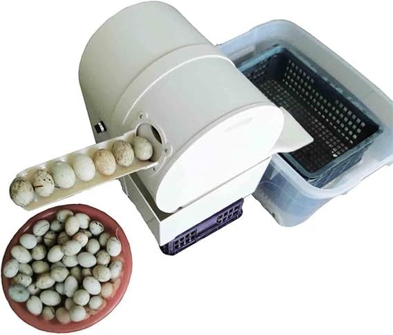 Electric Egg Washing Machine, Egg Washer Machine, Automatic Egg Washer Machine, 2300 Pcs/H Chicken Duck Goose Egg Egg Cleaner Wash Machine (Color : 110V)