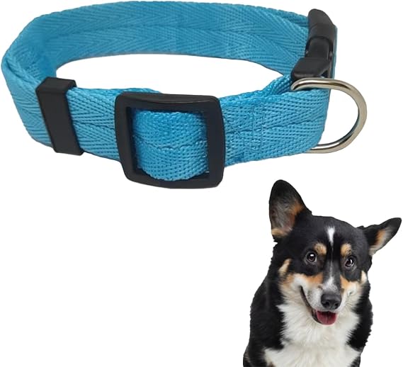 Nylon Dog Collar, Adjustable Collar For Dogs with Buckle& Leash Attachment Ring, Pet Collar for Small Medium Large Dogs (L)