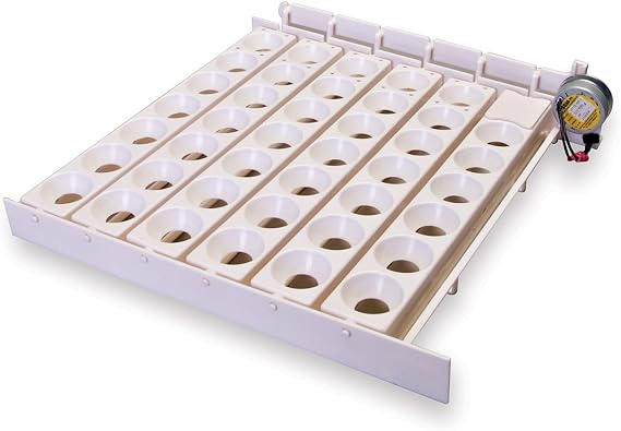 Little Giant Automatic Egg Turner | 41 Eggs | Equipment for Incubating Large Eggs | Hatching Chicks