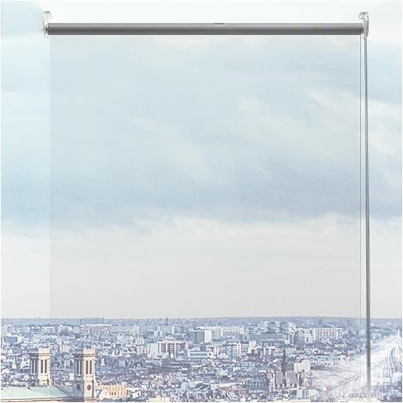 Roller Shades Blinds Grade Clear Transparent, Transparent Roller Shades, PVC Clear Vinyl Waterproof Curtain with Hooks, Vinyl Plastic Roll Up Blinds with Fittings Size : 110x250cm/43.3x98.4in