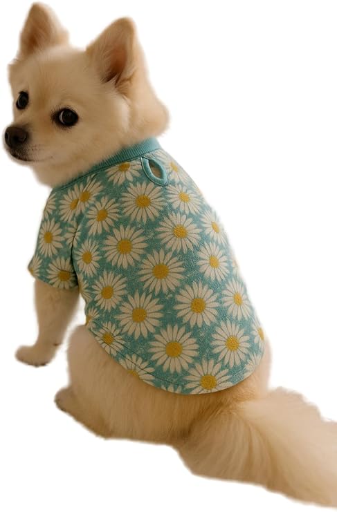 Kedi ve Köpek Kıyafeti & Elbisesi Papatyalı T Shirt Mint Yeşil L