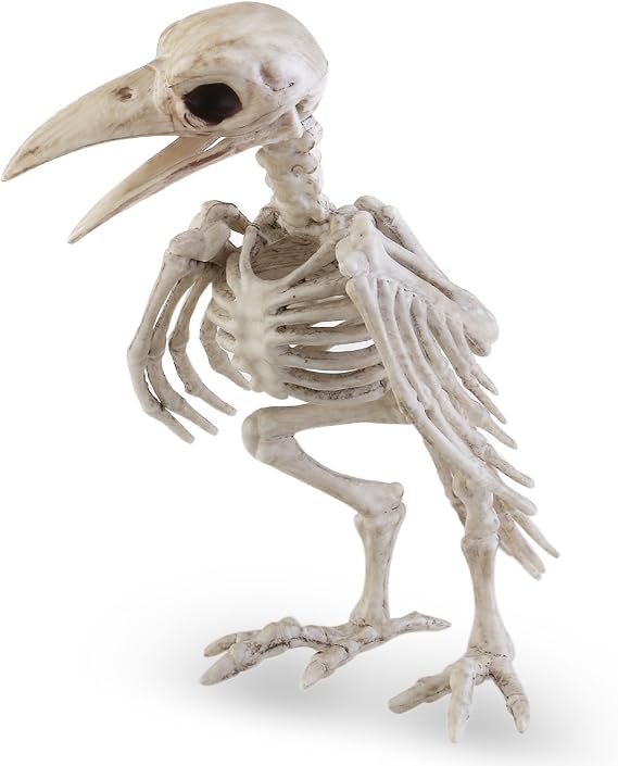 Crazy Bonez Skeleton Raven