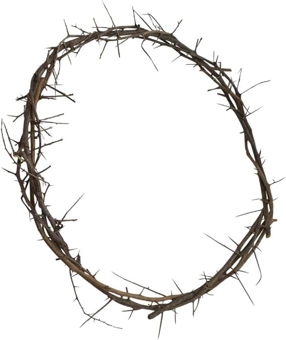 Bethlehem Gifts TM Authentic Jesus Biblical Crown of Thorns from the Holy Land (11-12" Diameter)