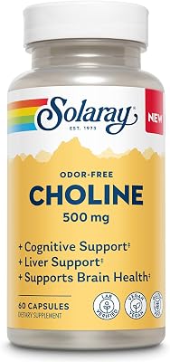 SOLARAY Choline 500 mg – Cognitive, Brain Health and Liver Support Supplement – Powerful Brain Supplement & Choline Source for Adults – Odor-Free, Vegan Liquid VegCaps – 60 Servings, 60 Capsules