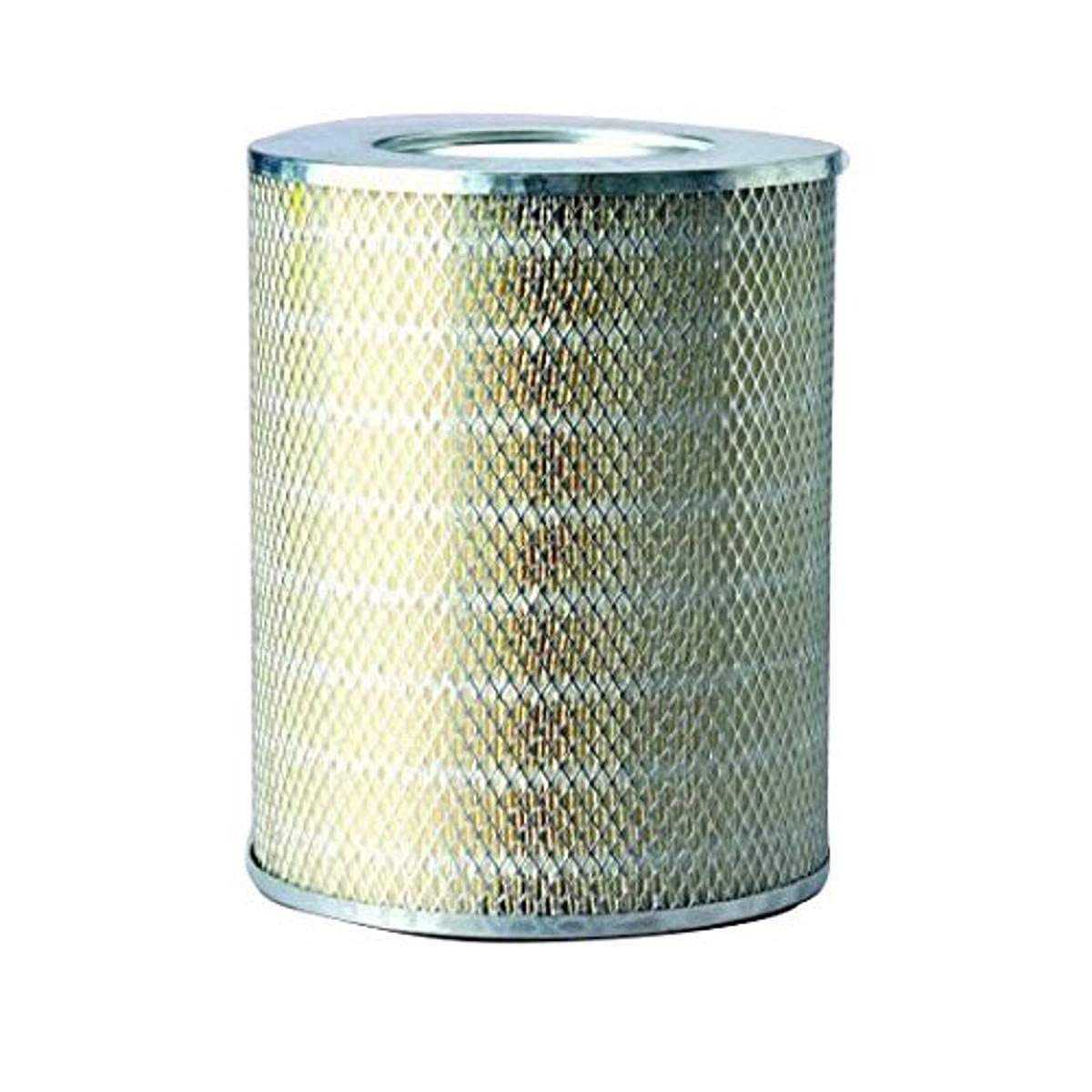Donaldson P137957 Air Filter, Primary