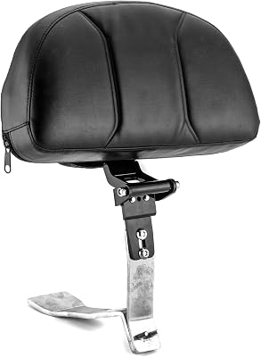 Dasen Adjustable Driver Backrest with Storage Pouch Compatible with Can Am Spyder RT RT-S RT Limited Models 2010-2019