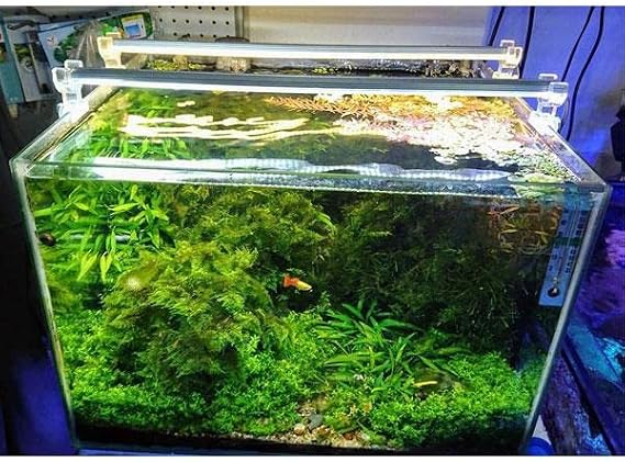 OrionLed Akvaryum Led Aydınlatma Daylight 30Cm 3000K