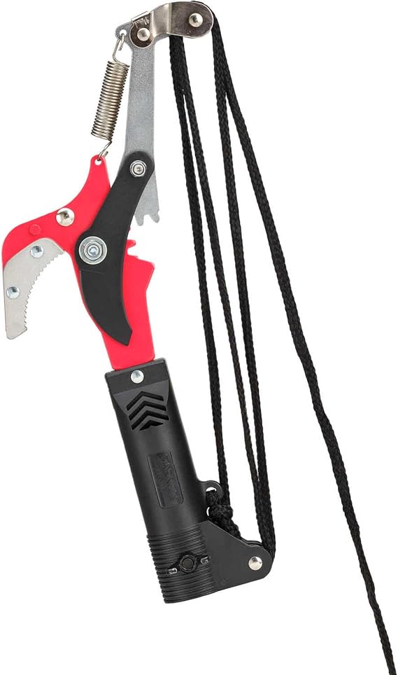 Barnel B553 Compound Gear-Drive Pole Pruner Head