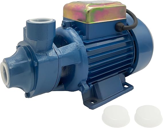 Water Transfer Pump,110V Electric Water Pump,Shallow Well Pump,Centrifugal Clean Water Pump For Pond Water Transfer Pressure Tank Water Filling, Irrigation,Water Supply (1 HP Water Booster Pump)