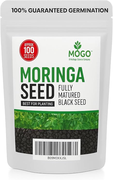 100 Moringa Seeds Approx | Moringa Seeds for Planting | Excellent Germination | Premium Grade PKM1 | Semillas de Moringaa Seed | Malunggay