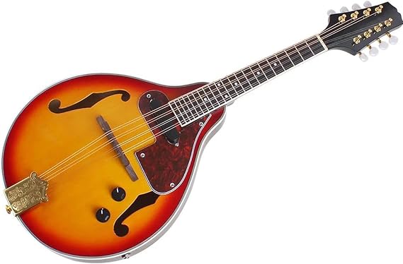 Mandolin Instrument Kit 8 String Electric Mandolin Guitar A Style Rosewood Fingerboard Mandolin With Bag Picks Capo