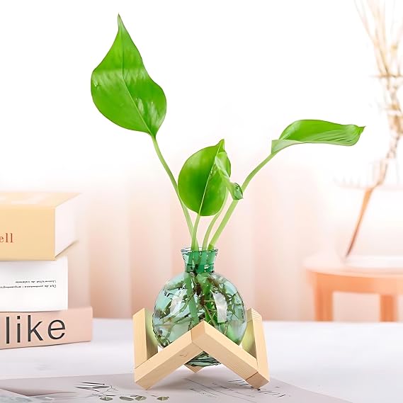 Cute Plant Propagation Station Glass Bulb Water Vases Green Office Decor