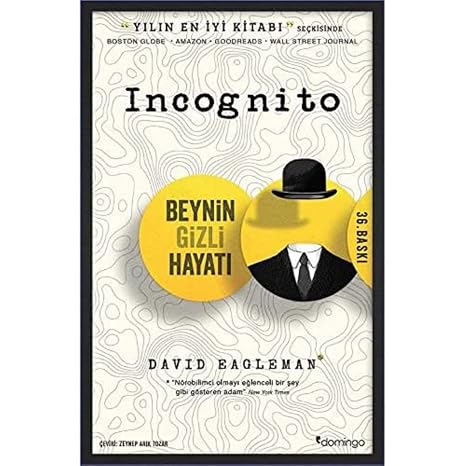 Incognito: The Secret Life of the Brain