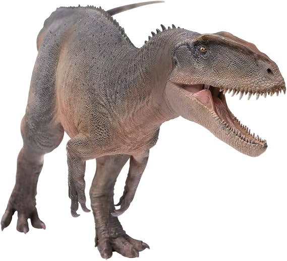 PNSO Prehistoric Animal Models: 62 Xinchuan the Sinraptor | 8.5" Late Jurassic Predator Set - Movable Jaw - Clear Stand - A3 Poster - 64-Page Manual - 9 QR Videos - Hand-Painted
