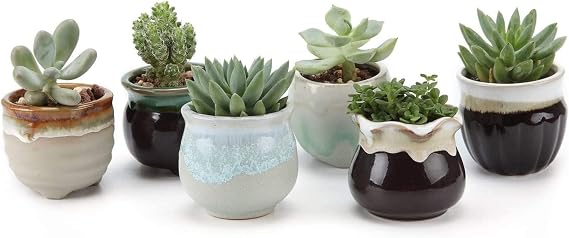 T4U Mini Ceramic Succulent Pots Set of 6, Round Tiny Planters with Drainage Holes and Grid Pads, Small Cactus Flower Pots for Windowsill Desk Decor, Gift for Plant Lovers