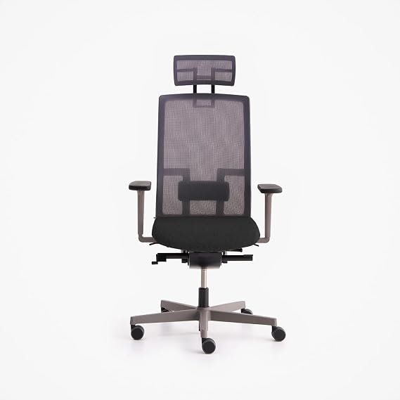 ME TOO Fluid Motion Plus® Head Anthracite Work Chair (Grey)