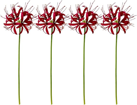 26" Artificial Red Spider Lily Flowers 4pcs Faux Lycoris Radiata Silk Equinox Flowers for Vase Bouquets Home Office Wedding Decor(Red)